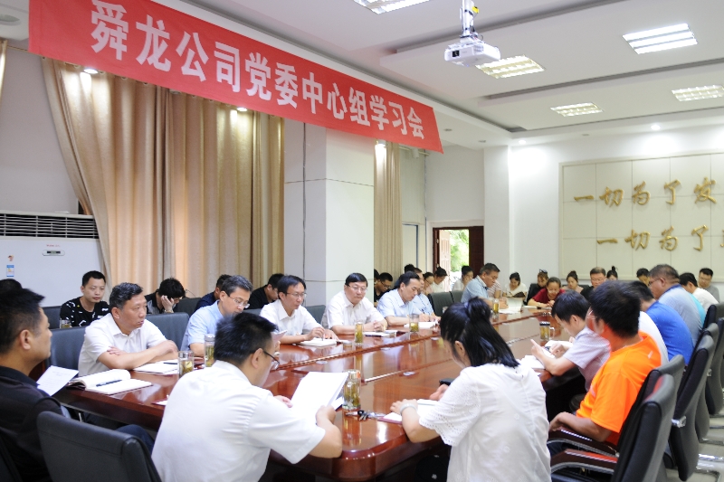 舜龍公司召開(kāi)“講忠誠(chéng)、嚴(yán)紀(jì)律、立政德”專(zhuān)題警示教育動(dòng)員會(huì)